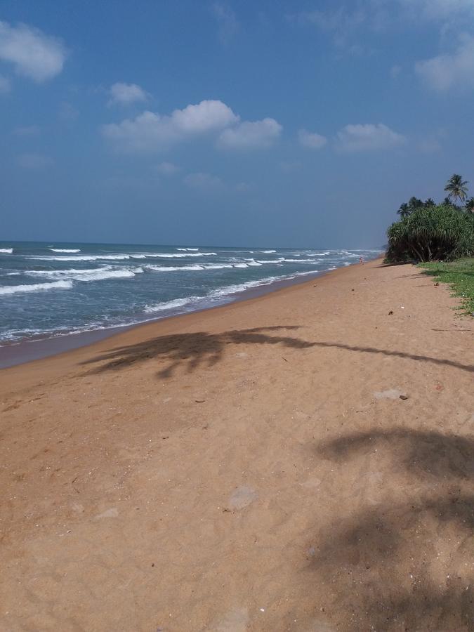 Ocean Queen Hotel Wadduwa Extérieur photo